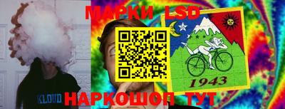 шишки Обнинск