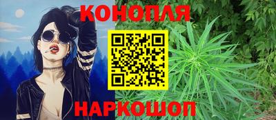 шишки Обнинск